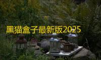 黑猫盒子最新版2025v1.4.2 人气热度
：21℃